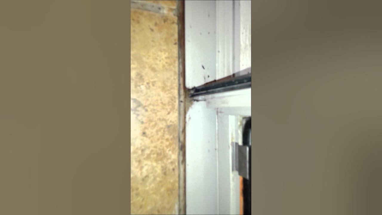 Andersen Sliding Glass Door Repair YouTube