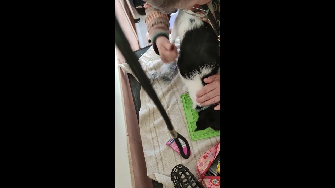 Trimmen - kurz erklärt