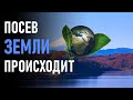 🔹Генетический посев/активацию, которая происходит прямо сейчас.