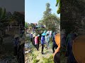 Rau bợ là đầu đầu thang thuốc #shorts #shortvideo