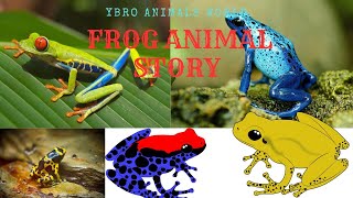 1 million views! Mr Frog 🐸 (Frog \& Toad \& Lizard \& Salamander) summary