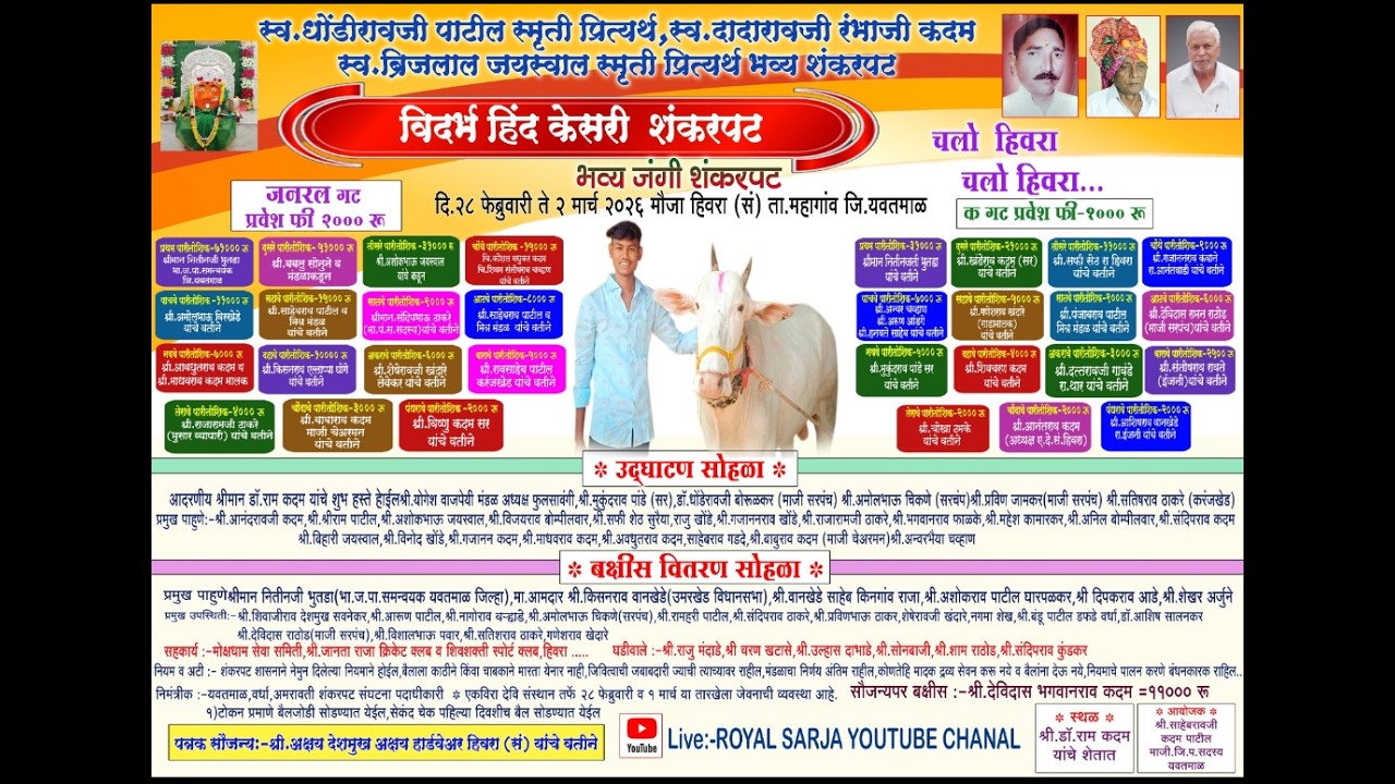 🔴 Royal Sarja Live  | विदर्भ हिंद केसरी शंकरपट मौजा हिवरा संगम  | शंकरपट हिवरा संगम लाईव्ह