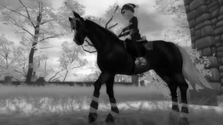 Star Stable / скр скр скр в мёртвых найках Star Stable / скр скр скр в мёртвых найках