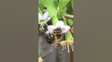 سورة الفلق للشيخ عبد الباسط عبد الصمد بصوت خاشع جميل #القرآن_الكريم #اكسبلور #المصحف #راحة_نفسية