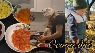 видео: Затишні дні: прибираю сад🍁, снідаю, варю борщ  картинка: Затишні дні: прибираю сад🍁, снідаю, варю борщ