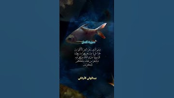تلاوة من سورة النحل عبدالولي الأركاني #قران_كريم #اكسبلور #دويتو #شارك #لايك #القرآن_الكريم #explore