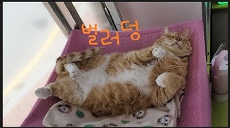 연세우유메론크림빵 - YouTube 연세우유메론크림빵 - Youtube