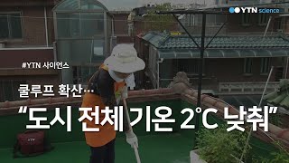 쿨루프 확산...