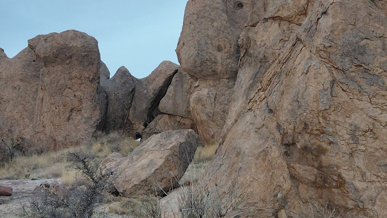 DAY 25 | Exploring new Camp 🏕 