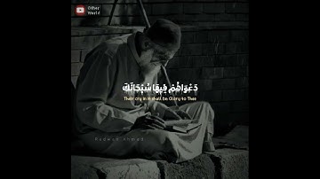 أجمل تلاوة للقارئ | عبد الرحمن مسعد | . حالات. واتس آب دينية 💗🌼