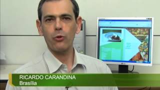 Gastronomic guide presents typical Brazilian dishes for tourists.