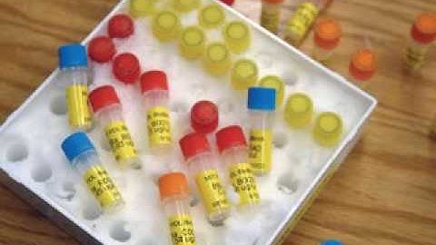 2010 Microsoft Research eScience Workshop - Jim Gray eScience Award Presentation