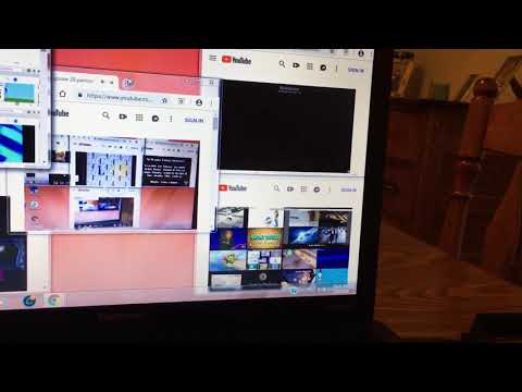 Annoying Goose 33 Parison