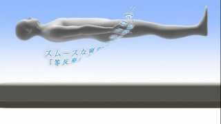 パラマウント・マットレス　SmartSleepAqua