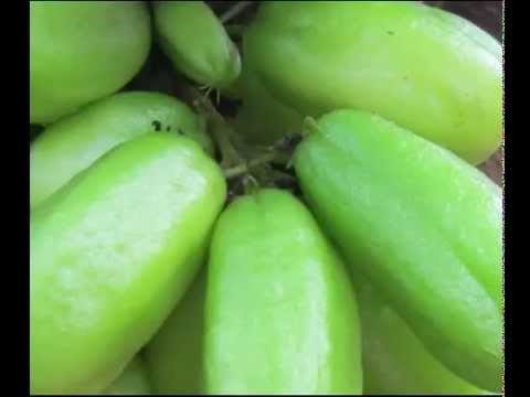 Bilimbi Fruit Health Benefits & Side Effects