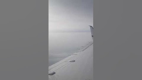 Hawker 800 Wing Oscillation - NSFW (language)