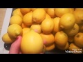 مركز الحامض أو الليمون🍋🍋🍋 عصير  منعش بكمية وفيرة .يستاهل التجربة