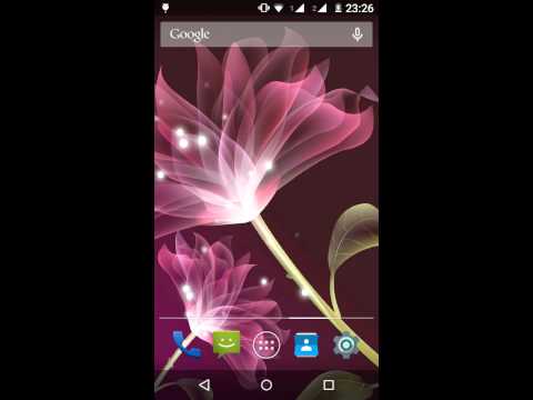 Pink Lotus Live Wallpaper