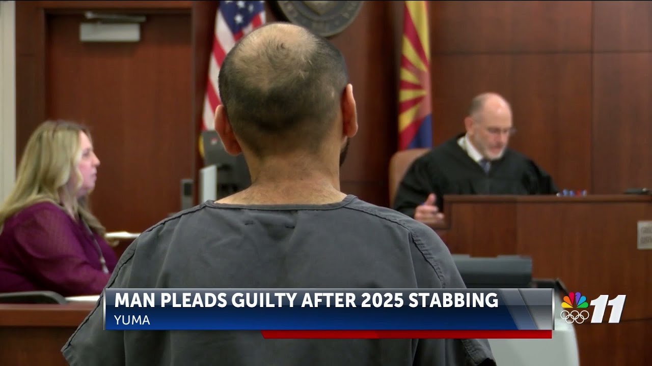 Man involved in stabbing pleads guilty - YouTube