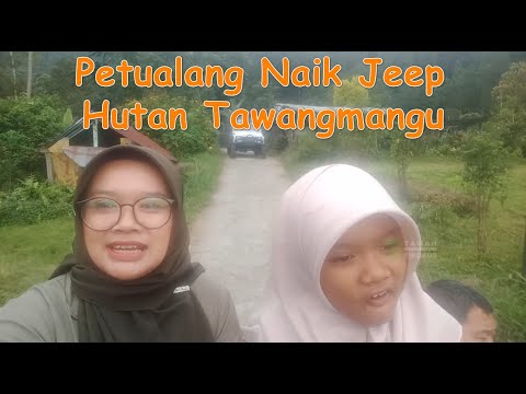 around by jeep | Naik Jeep Keliling Hutan Gunung Lawu | Petualang Naik Jeep Tawangmangu