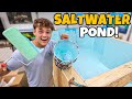 Finally PAINTING My 4000G SALTWATER POND!!