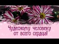 Чудесному человеку от всего сердца.