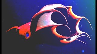 Vampire Squid The Alien Of The Deep From Hell