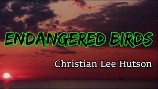 Christian Lee Hutson - Endangered Birds (Lyrics)