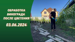 Обработка винограда после цветения #краснодар