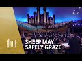 Miniature de la vidéo de la chanson Sheep May Safely Graze