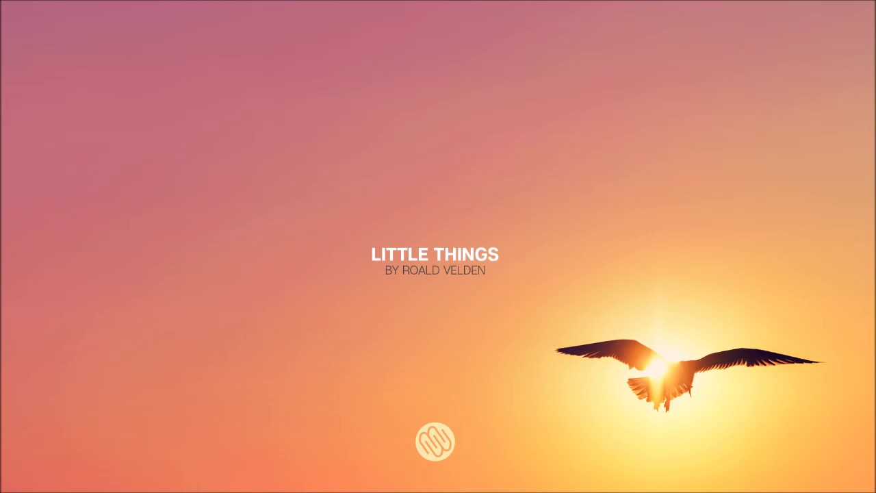 Roald Velden - Little Things (Original Mix)