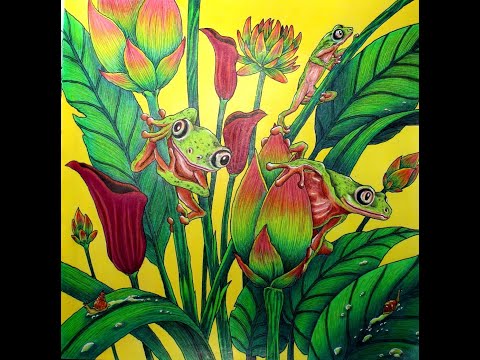 Video thumbnail: Speed Coloring · "Lemur leaf frogs" Fragile world by Kerby Rosanes