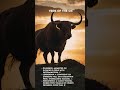 Year of the Ox Trivia: Did You Know? #2025predictions #chineseastrology #chinesezodiac2025