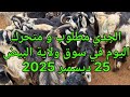 الطلب كبير على الجدي اليوم من سوق البيض الخميس 25 ديسمبر 2025 