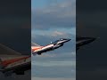 Beautiful Canards Canarding! ✈️ Freewing 8S J-10 90mm EDF