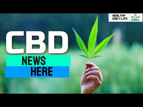 🆕CBD Oil Seven Mayor Benefits CBD Oil For Anxiety Check It Out! thumbnail