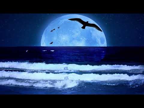 【纯音乐】海月 - 魔鬼花园 Devil Music