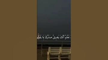 #قرآن #قرآن_كريم #ايات_قرانيه_قصيره #آيات_من_كتاب_الله