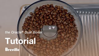 Ajuste de la molienda y del sistema de autocalibrado