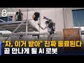 "너 동료가 돼라" 곧 만나게 될 AI 로봇