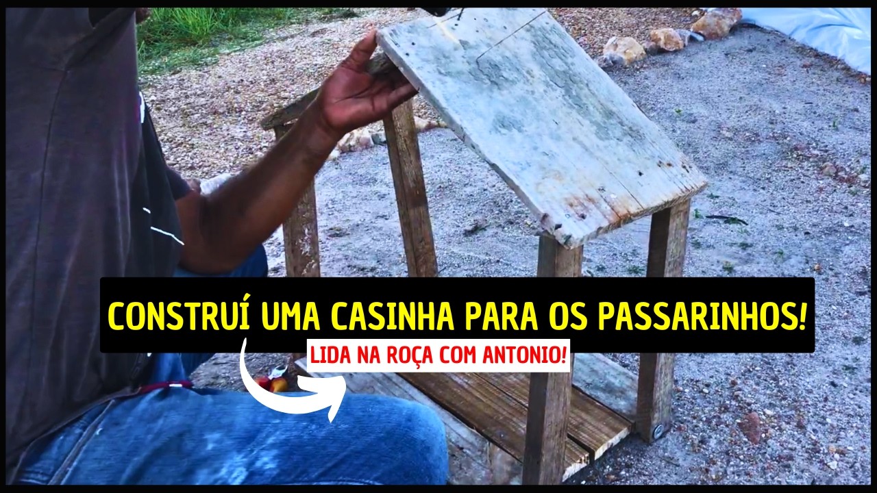 CONSTRUINDO A CASA COMEDOURO DOS PASSARINHOS DO SÍTIO!