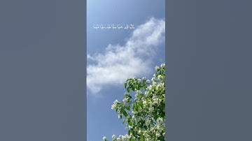 #سورة_الاحزاب #أن_الله_وملائكتة_يصلون_على_النبي #الا_بذكر_الله_تطمئن_القلوب