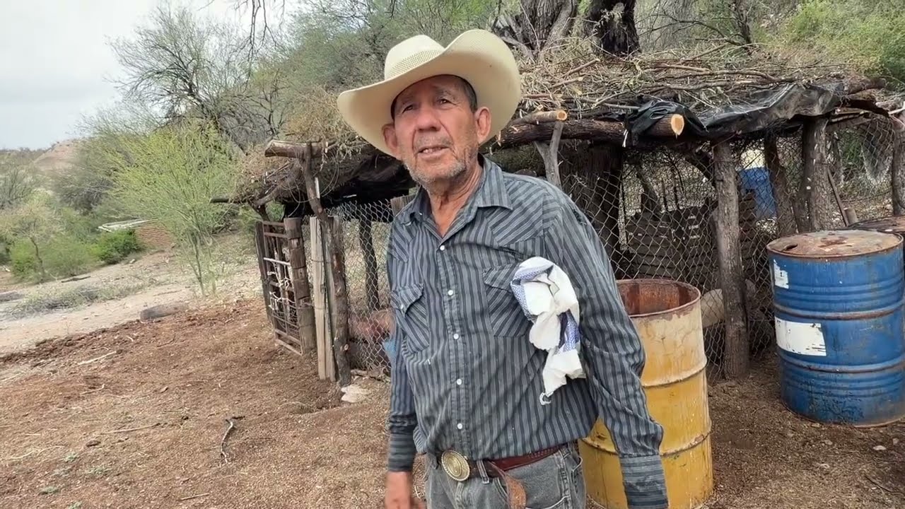 Señor Padillas me muestra sus nuevos animales de su rancho: gallinas, pollitos, cerdos, guajolote