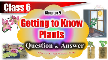 Class 6 Science Chapter 9 Question Answer | Getting to Know Plants Question Answer | Science Ahead |