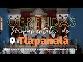 Video de Tlapanalá