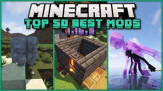 Top 50 Best Mods for Minecraft 1.16.5  Ep. 2 [Tinkers Construct, Mowzies Mobs, Twilight Forest]