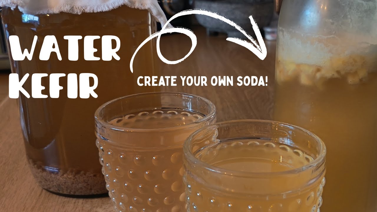 Bubbly & Thriving: How I Care for My Water Kefir Grains 