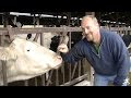 Deaf Owned Dairy Farm