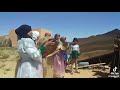 حيدوس