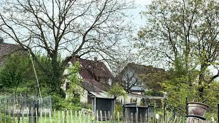 Moja Nowa Znajoma Nauczyła Się Przylatywać Zjeść